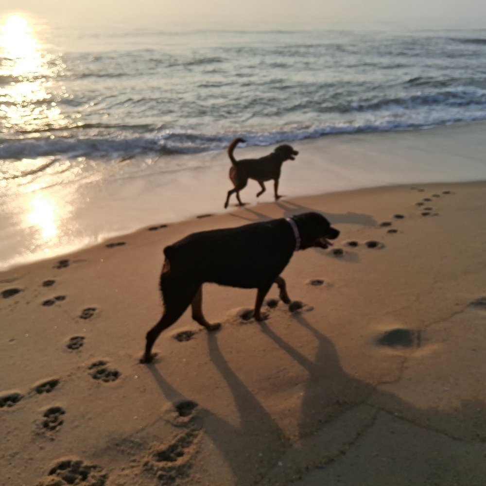 Meet your Posher, Naomi